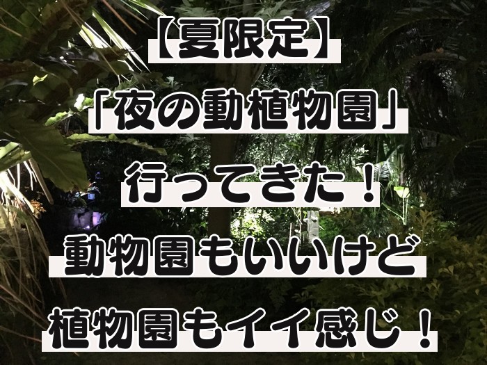 夜の動植物園 アイキャッチ