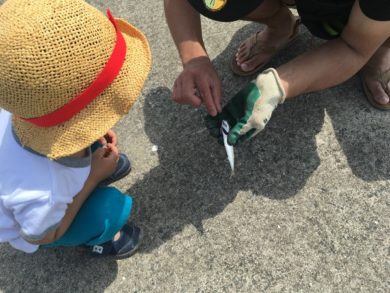 マリナタウン海浜公園