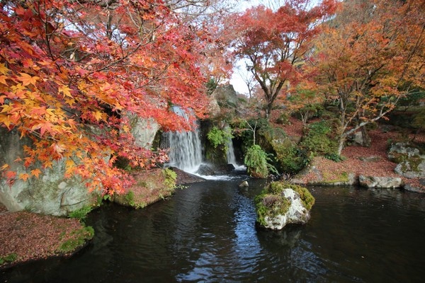 渓石園 滝 紅葉