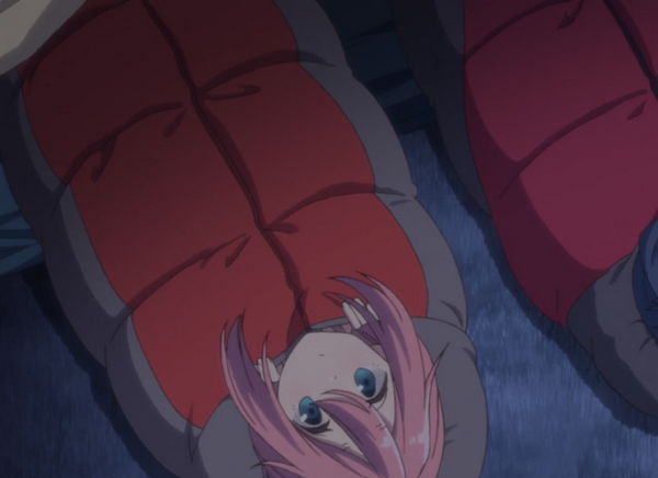 なでしこ 寝袋